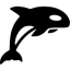 Orca